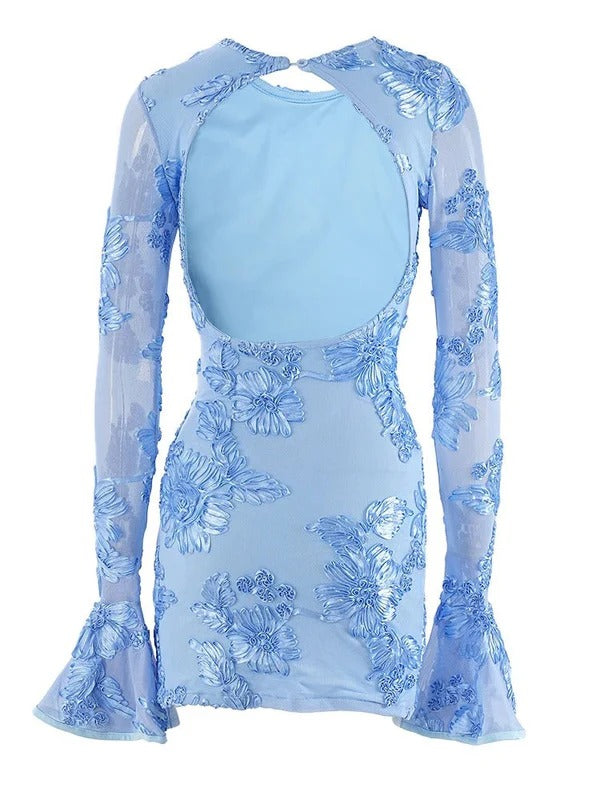 Women’s Floral Embroidered Mini Dress with Sheer Sleeves